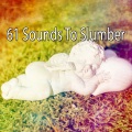 Einstein Baby Lullaby Academy - Nights Grace
