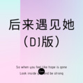 丽门 - 火红的萨日朗 (DJ版)