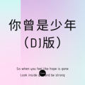 安高 - 你的答案 (DJ版)