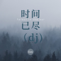 安高 - 时间已尽 (DJ版)