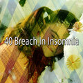 40 Breach in Insomnia