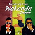 Mandela、DJ Cosmo、Cosmas Chileshe、Winston Mandela - Wakanda Dance (Radio Edit)