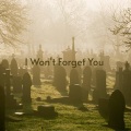 I Won't Forget You