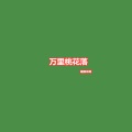 耀眼哥哥 - 万里桃花落