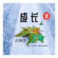 武琳赛 - 成长的路