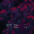 santiago nino - Dogon