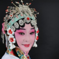 凤立沉香 - 同根异果 天上太阳赶月亮