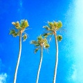 Tree Threes - Bits of Love