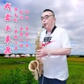 我要去草原 (萨克斯版)