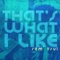 Sam Tsui - That's What I Like (Acoustic Version)