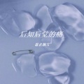 歌者飘雪 - 后知后觉的痛