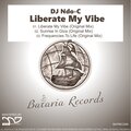 Liberate My Vibe