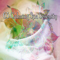 63 Calming Spa Serenity