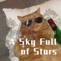 A Sky Full of Stars (Remix)