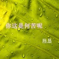 陈恳 - 你这是何苦呢
