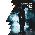 Somebody Like You