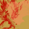 Jacana People、Cortese - Amaya (Cortese'sMidnightCrisisMix)