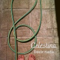 Celestina - Decir Nada