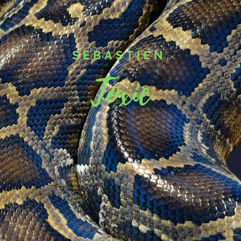Sebastien - Toxic