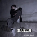叶琛 - 塞北江边雁