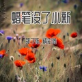 邵子陈、精彩鑫 - 王炸来袭