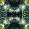 MJSB - Basic Bit