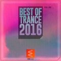 Vintage & Morelli - While the Earth Sleeps