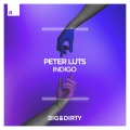 Peter Luts - Indigo