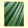 Ashley Smith、Lava Theory、Sage Rooms、Gods Of Om - Smooth Excellence
