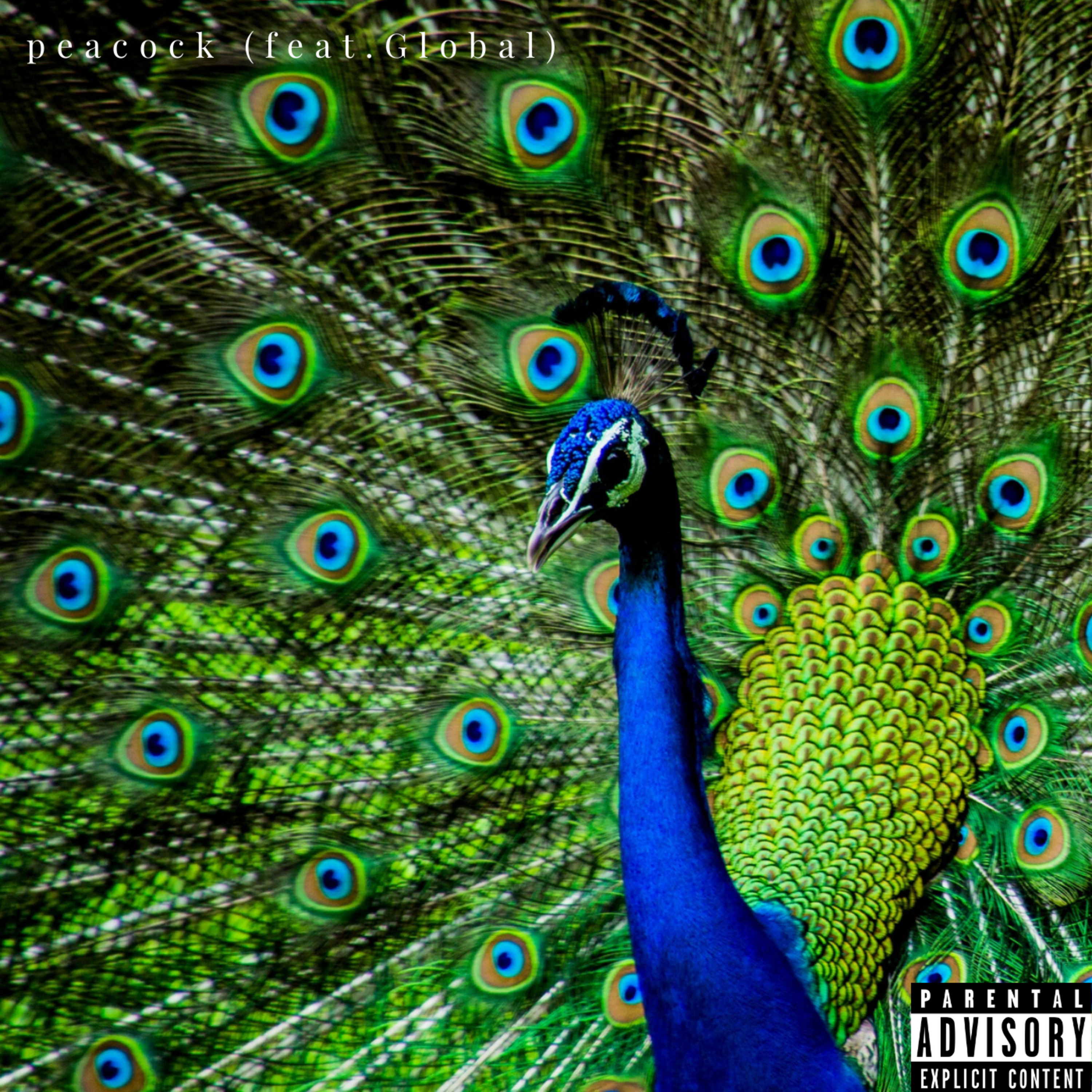 Global、Raymouton - peacock (Explicit)
