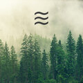 Yoga Forest - Kids Calming Soft Shushing Noises