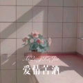 爱情苦酒 (Remix)