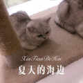 金小6 - 36 (Remix)