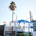 我不是你的宋冬野