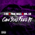 Can You Feel It (Explicit)