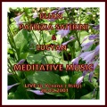 Lucyan、Bijan、Patrizia Saterini - Meditative Bansuri 2