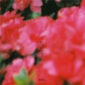 eddy盖 - 九万字