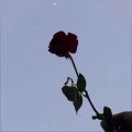 DYLYINDAHOODIE、Lil Sylvy、Dylan Lowman - savior (Explicit)