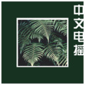 肖宇帆 - 中文电摇 (Remix)