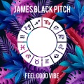 James Black Pitch - The Feel Good Vibe (128Mix)