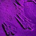 Suzanne Kraft、Iury Lech - Cuando Rocio Dispara Sus Flechas (SuzanneKraftRemix)