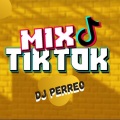 Dj Perreo - Mix Tik Tok (Raka Taka Taka, Baila Como Twerk, Safaera, Yo Perreo Sola, Tra Tra)
