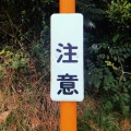 VANPO - 言ノ葉