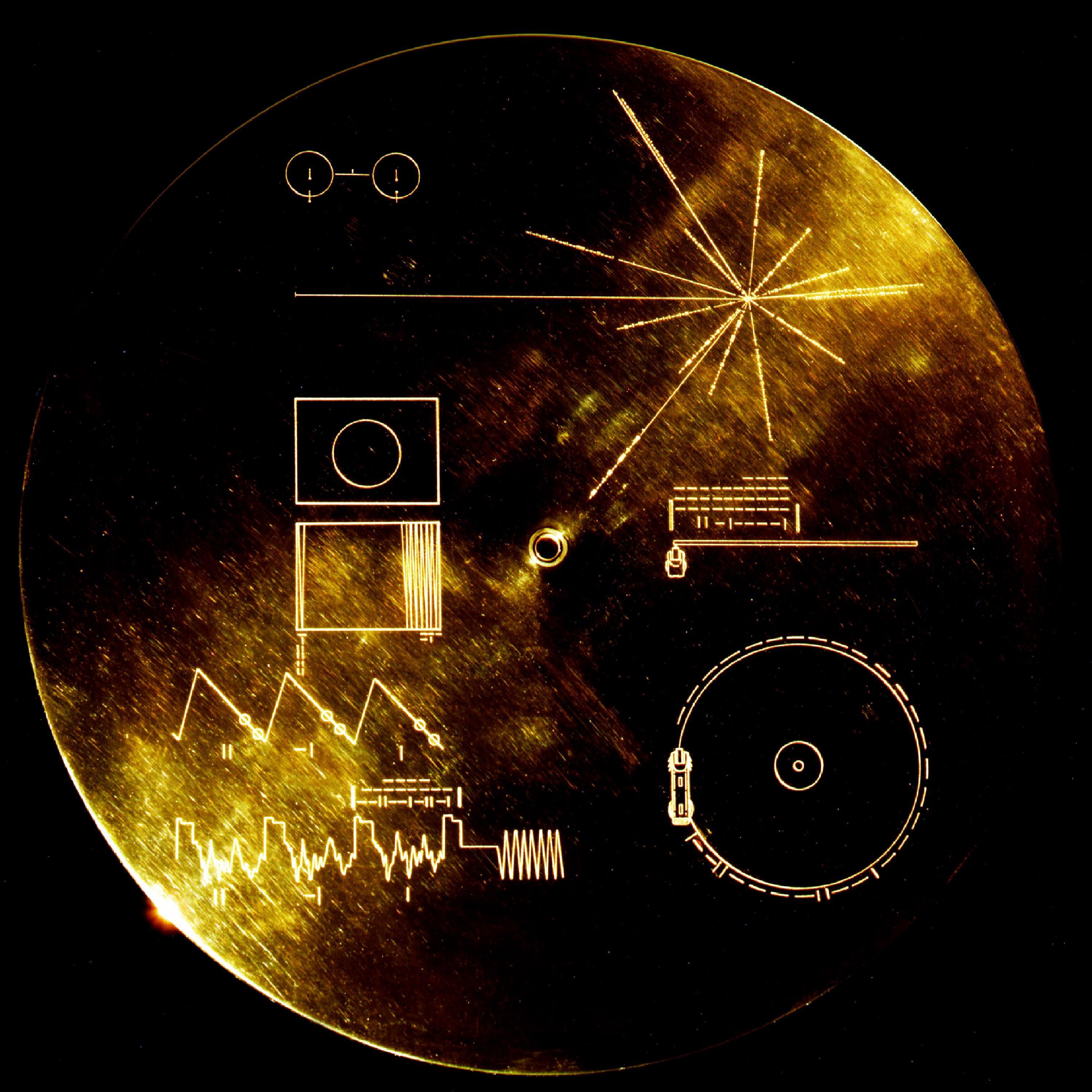 Gold Lounge、Dance Animal、Sapio Beats、Rachel Kennedy、Anarchy Wave - Staggering Strength