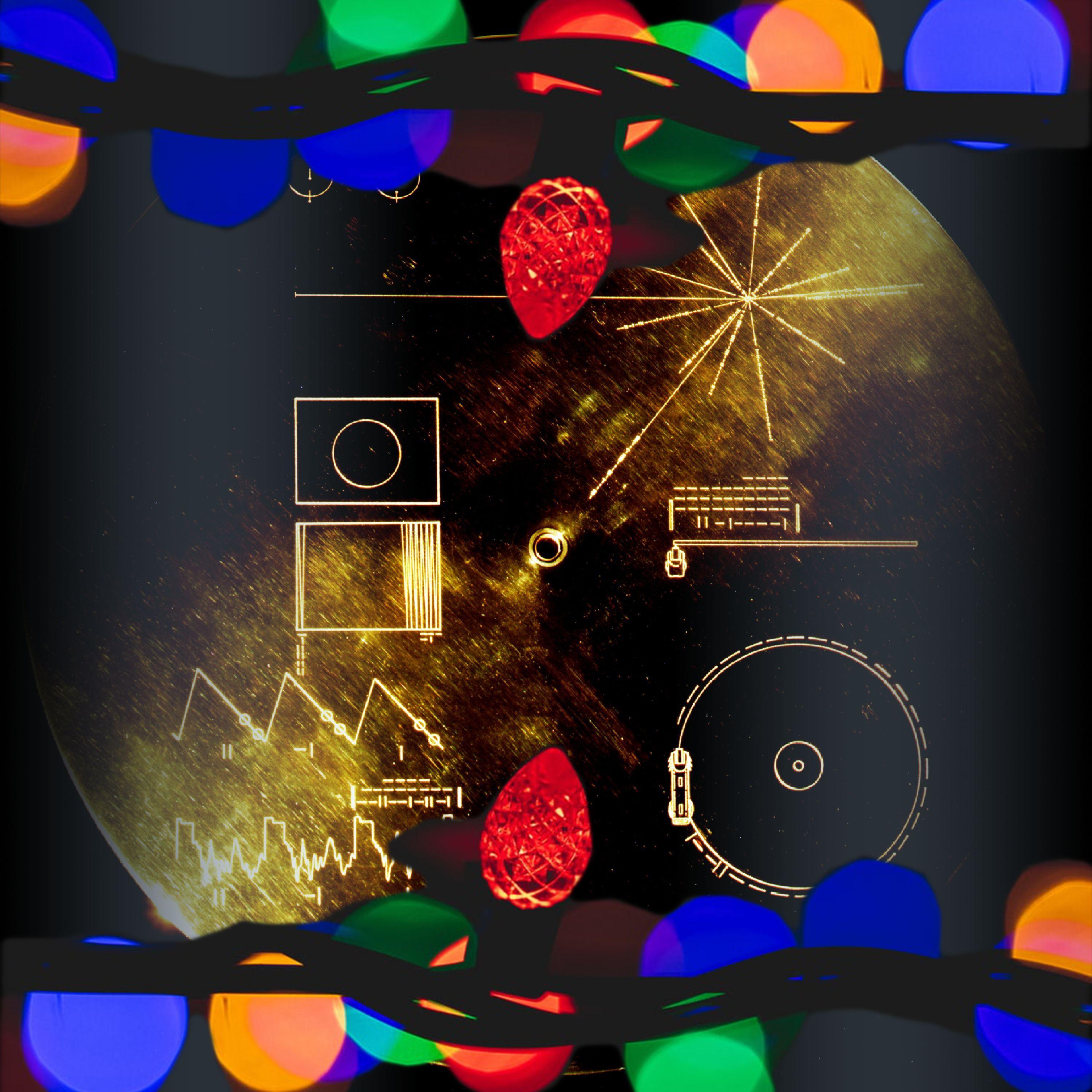 Gold Lounge、Dance Animal、Sapio Beats、Rachel Kennedy、Anarchy Wave - Tonga Digital