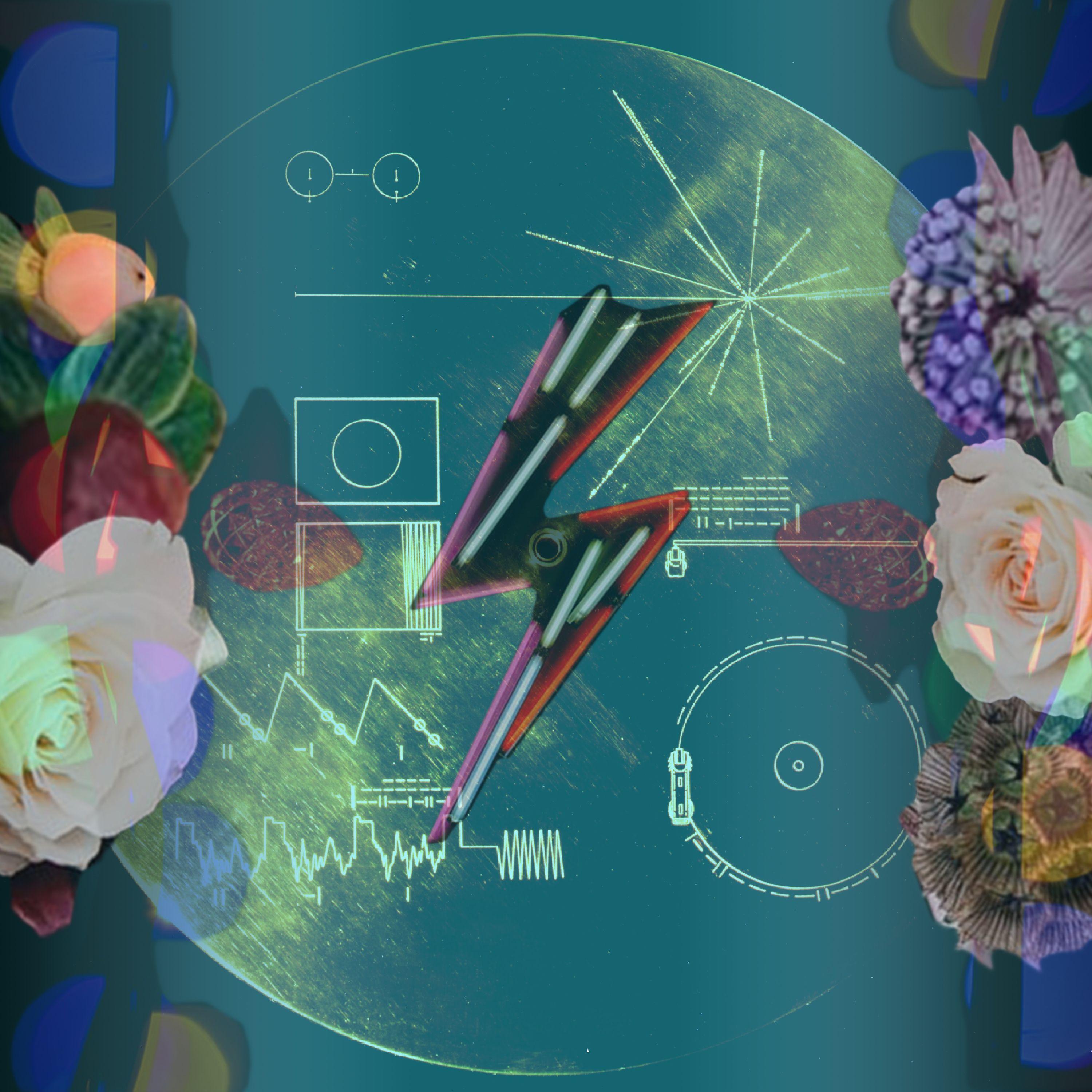 Gold Lounge、Dance Animal、Sapio Beats、Rachel Kennedy、Anarchy Wave - Destiny Lust
