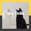 李东篱、张蛋蛋 - Say Hello
