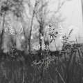 ShakingHigh - 暖かい生き物 (Remix)