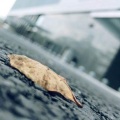 王怼怼 - 怎么了