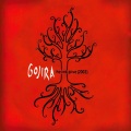 Gojira - Wisdom Comes